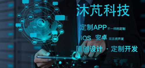 鄭州軟件定制開發(fā)與網(wǎng)絡(luò)信息安全服務(wù)一站式解決方案